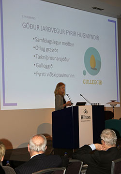Helga vefur