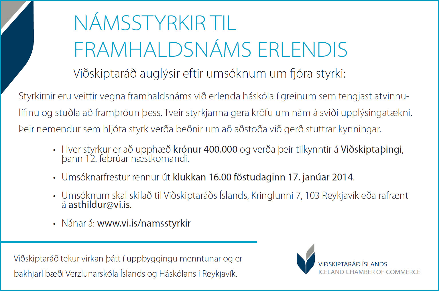 2013.12.10 namsstyrkir vefur